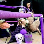 1699677_web1_Circus_1.jpg