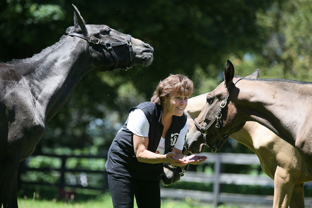 1957717_web1_LIFE_PETS-HORSE-BREEDER_1_TB.jpg