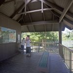 2323897_web1_Zoo_Tiger_Problems_2.jpg