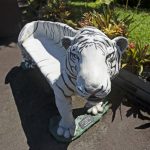 2323897_web1_Zoo_Tiger_Problems_5.jpg