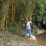 2636029_web1_Dengue_Spraying_Handout_2.jpg
