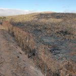 2991033_web1_Saddle-Rd-Fire_0020.jpg