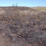 2991033_web1_Saddle-Rd-Fire_0028.jpg