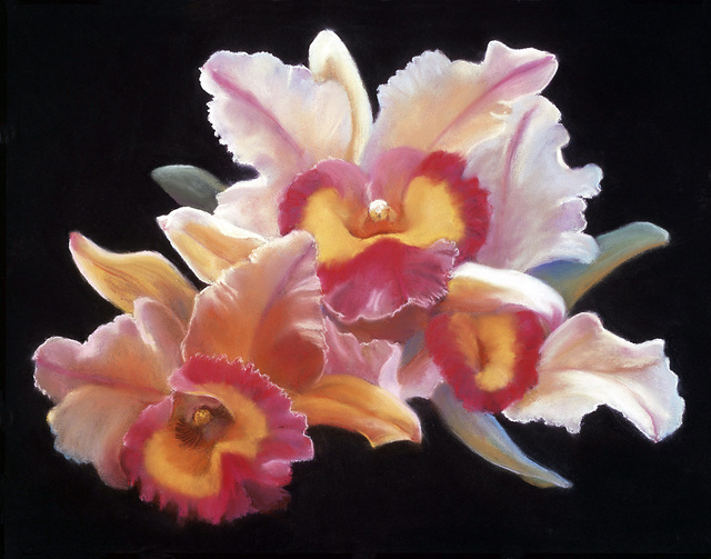3021446_web1_Cattleya-Orchid-Copy-HMA.jpg
