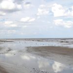 3642737_web1_Travel-Montevideo_Chri-copy.jpg