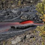 3730381_web1_eea71f5c-8cfb-4c9f-ae7f-54aedea10ae4.jpeg