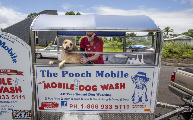 woof mobile dog grooming