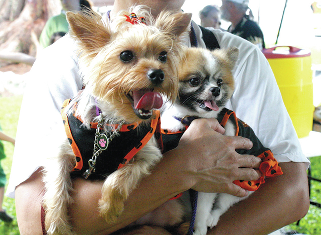 4351638_web1_HIHS-Dog-Walk.jpg