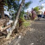 4386615_web1_Dirty_Plants_Downtown_2.jpg