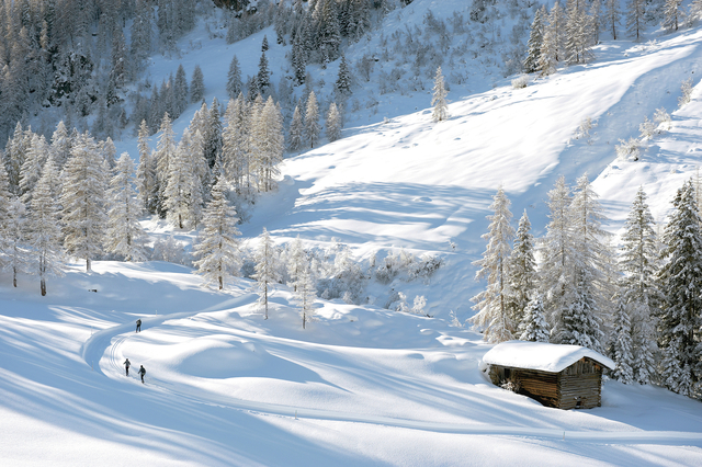 4538458_web1_Travel-Alps-Skiing-Wi_Chri-copy.jpg