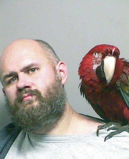 4574111_web1_Oregon-Arrest-Macaw_Chri.jpg
