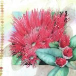 5088662_web1_Red-Lehua.jpeg