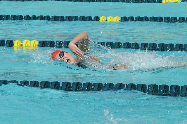 5387918_web1_1-Swim-Meet020715_0206a.jpg