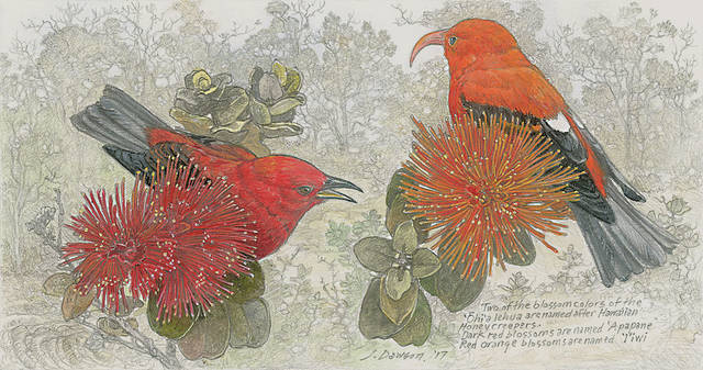 5726184_web1_Apapane-and-Iiwi-Lehua.jpg