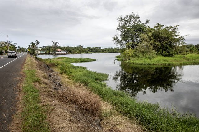 5930751_web1_Lokowaka_Pond.jpg