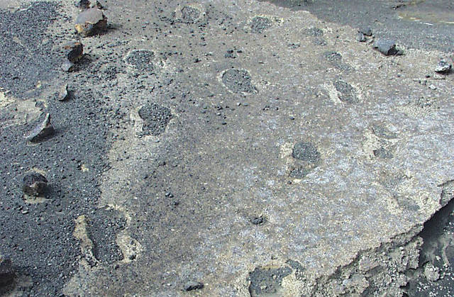 5974576_web1_Footprints-fossilized-in-volcanic-ash-in-Kau-Desert_NPSPhoto.jpg