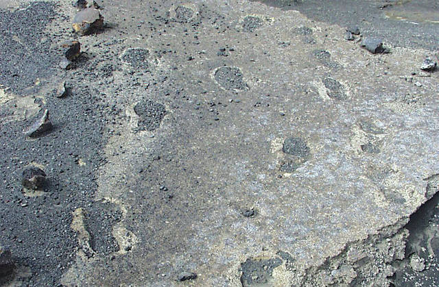 5974576_web1_Footprints-fossilized-in-volcanic-ash-in-Kau-Desert_NPSPhoto.jpg