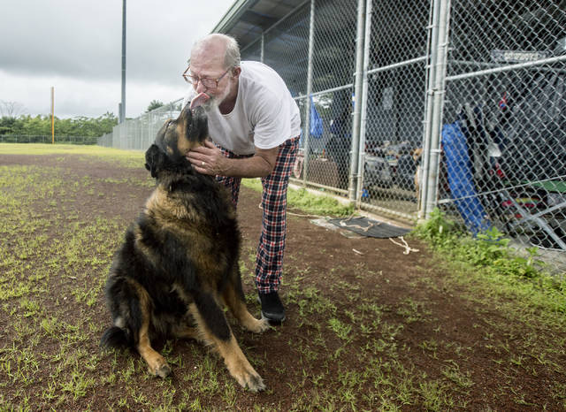 Search for lost animals in lava-inundated area 'heart-wrenching' - Hawaii  Tribune-Herald