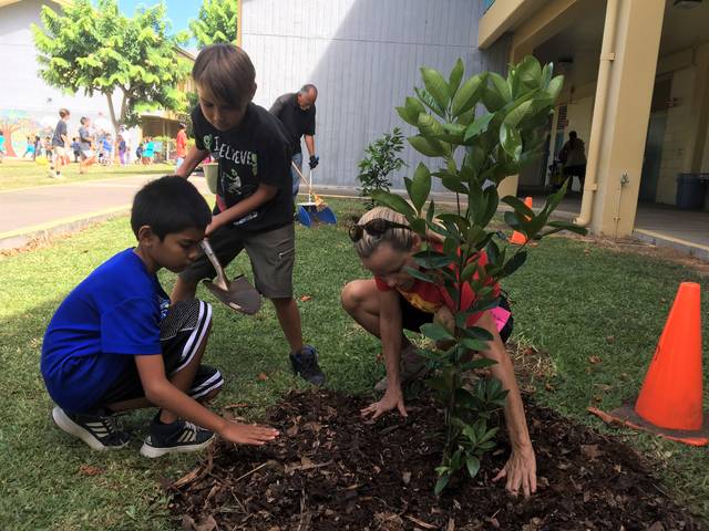 Planting fruit trees in schools