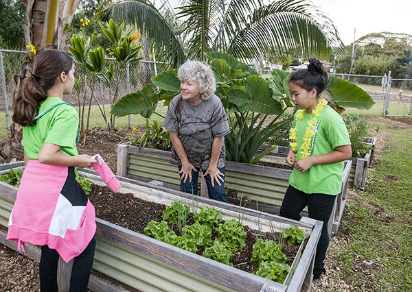 Students At Papaikou School Learn Lessons From The Land Hawaii