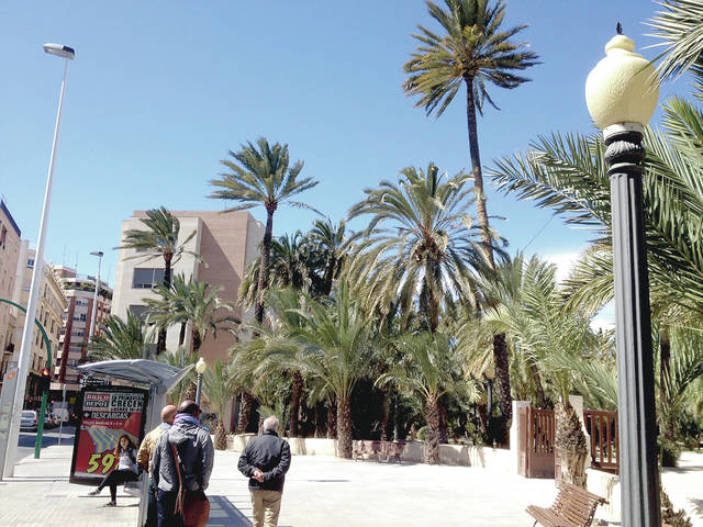 Tropical Gardening Palm Sunday Celebrates The Beginning Of Holy