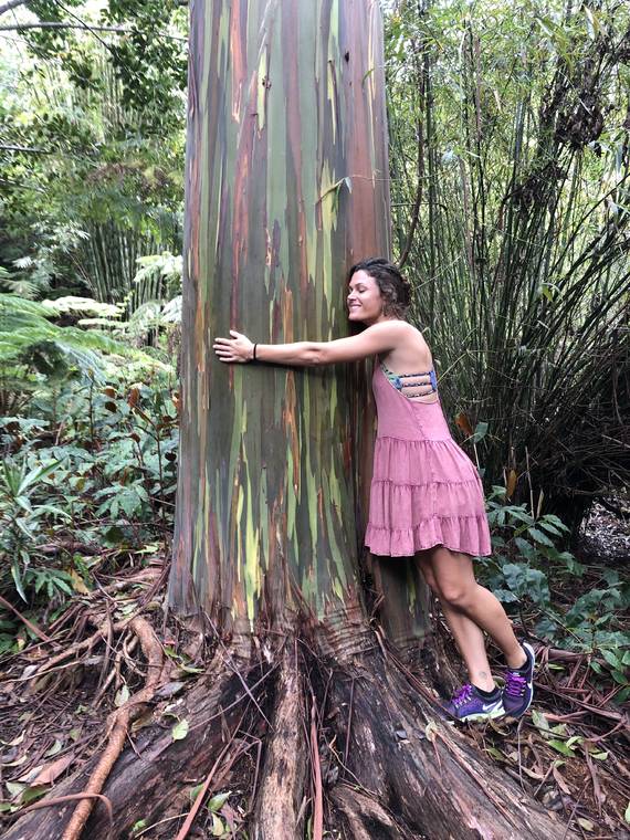 Tour of Kona Cloud Forest Sanctuary reveals oasis of life - Hawaii Tribune-Herald