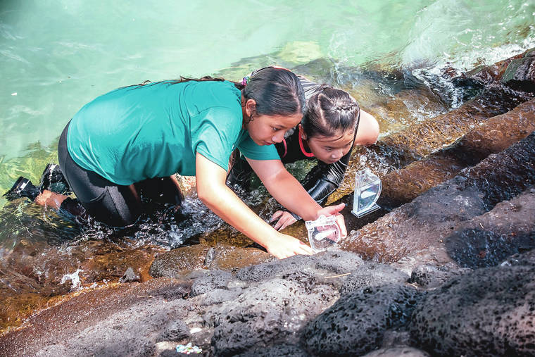 Kamehameha Schools Hawaii summer academies now accepting applications