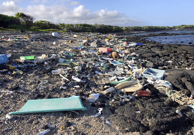 hawaii tourism pollution