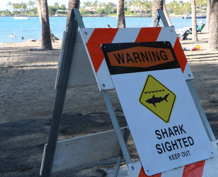 Woman hospitalized from shark attack at New York City beach