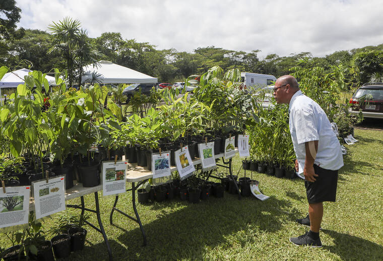 Plant sale to benefit Hilo zoo this Saturday
