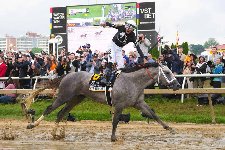 Seize the Grey earns wire-to-wire Preakness Stakes win on muddy track