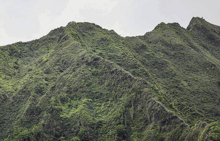 Second lawsuit filed to stop Haiku Stairs’ demolition