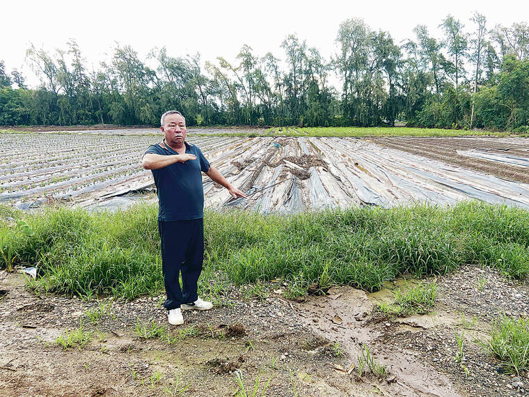 From farms to produce vendors, Kona-low impacts are widespread