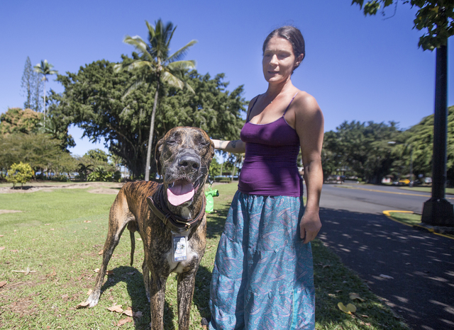 2808477_web1_Dogs_at_Liliuokalani_2.jpg