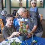 4392798_web1_Ohana_Lehua_Bonsai_Show_1.jpg