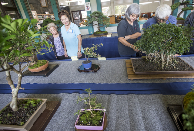 4392798_web1_Ohana_Lehua_Bonsai_Show_2.jpg