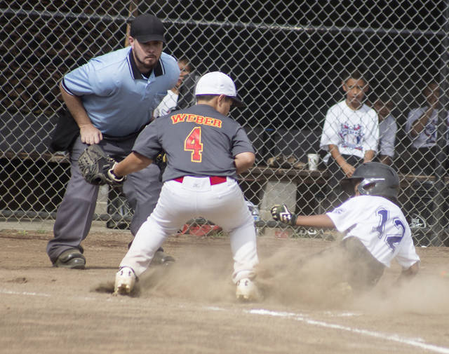5582056_web1_Little_League_Baseball_4.jpg